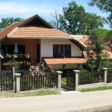 Apartments Zlatiborski Gajevi Exterior photo